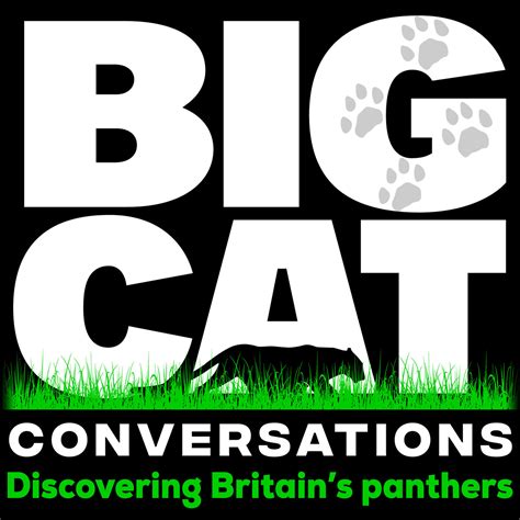 Big Cat Conversations Listen Via Stitcher For Podcasts