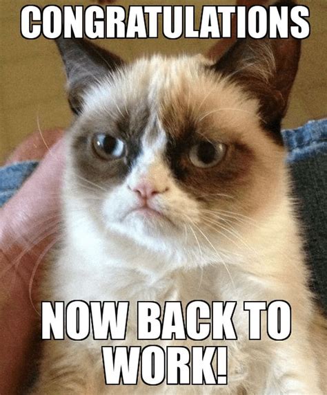 71 Funny Congratulations Memes To Celebrate Success Funny Grumpy Cat