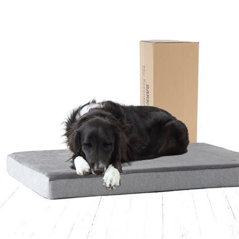 Barkbox Memory Foam Platform Dog Bed Large