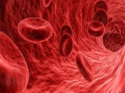 Clinical Trial Shows Promise In Treatment Of Rare Blood Cancer