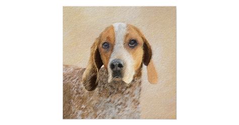 American English Coonhound Painting Dog Art Poster Zazzle