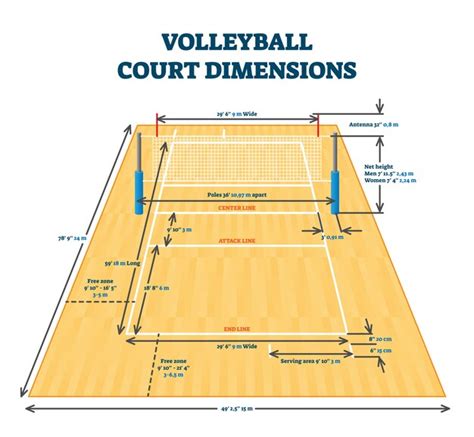 Volleyball Court Dimensions Size Guide Illustration Layout Scheme