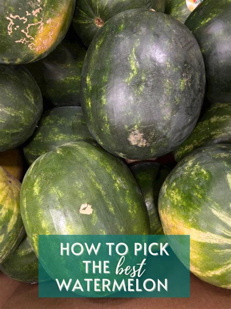 How To Pick The Best Watermelon Joy To The Food