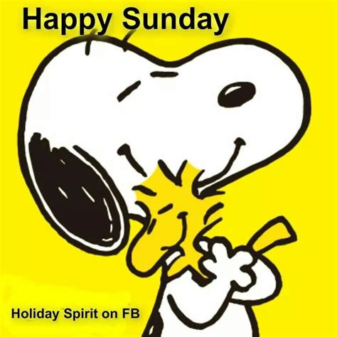 Happy Sunday Fondo De Pantalla Snoopy Imágenes De Snoopy Cumpleaños