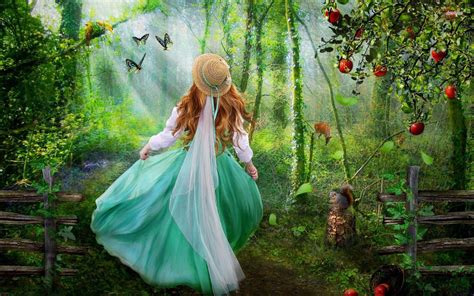 Enchanted Forest Backgrounds Wallpaper Cave