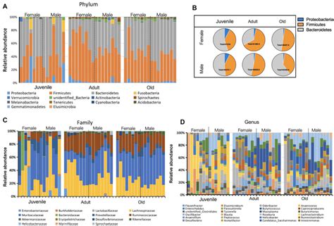 Variation Of Gut Microbial Composition Between Sex And Age Groups A Download Scientific