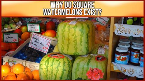 Why Do The Japanese Grow Square Watermelons Ref Tips