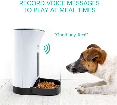 Best Automatic Dog Feeders With Timers Timed Dog Food Dispensers Reviews