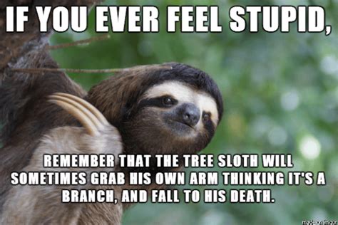 Funny Sloth Memesmost Popular Of Internet Memes