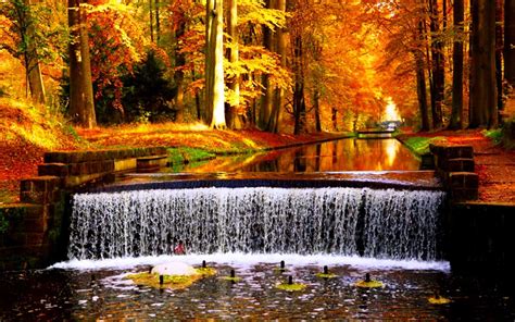 Pin By Patricia Schiller Mullins On Waterfalls Autumn Waterfalls