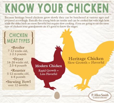 Know Your Chicken Heres What Makes It A Heritage Breed Heritage