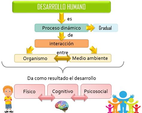 Esquemas Diagramas Gr Ficos Y Mapas Conceptuales Esquema Desarrollo Humano