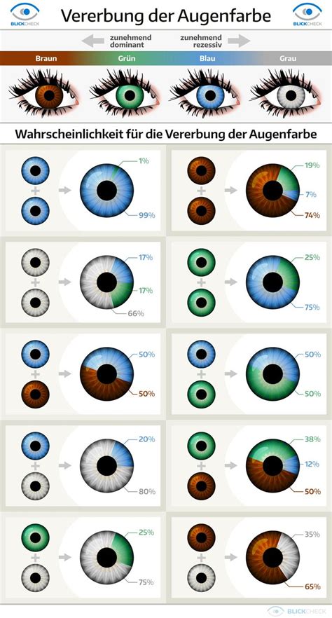 Vererbung Der Augenfarbe Augenfarbe Augenfarbe Tabelle Augen Farbe