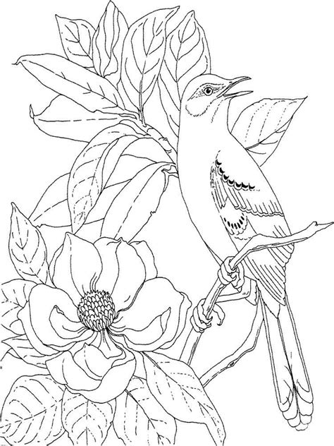 For boys and girls, kids and adults, teenagers and toddlers, preschoolers and older kids at school. Magnolia coloring pages. Download and print Magnolia ...