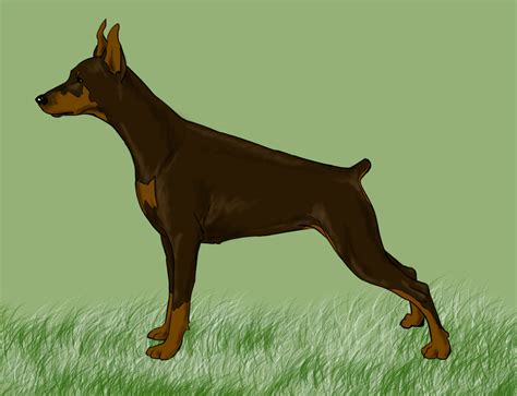 How To Draw A Realistic Dog 5 Steps With Pictures Wikihow