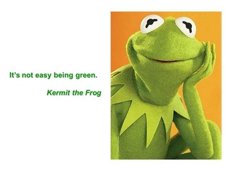 Funny Quotes Kermit Frog Gambar 08