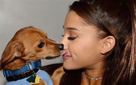 Ariana Grande Takes Her Love For Rescue Pups To Miami Offers To Cover