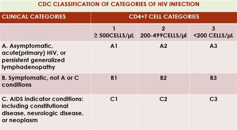 CD T Cell Count In AIDS Histopathology Guru