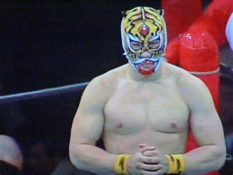 St Tiger Mask Wrestling Puroresu Pinterest Posts Tigers And