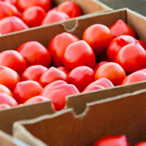 Box Of Roma Tomatoes 25 Lbs