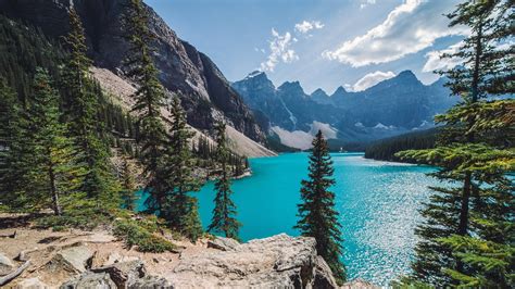 Nature Landscape Moraine Lake Canada Mountain Forest