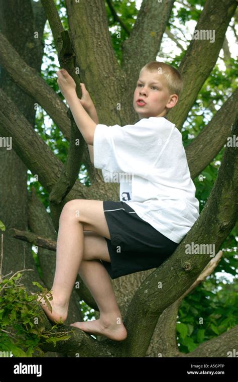 Page 2 Boy Climbing Tree Barefoot High Resolution Stock Photography