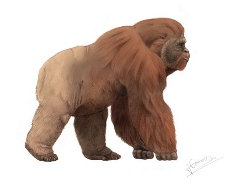 Gigantopithecus Prehistoric Wiki Fandom