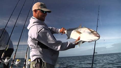 Amberjack Part 1 Episode 5 Youtube