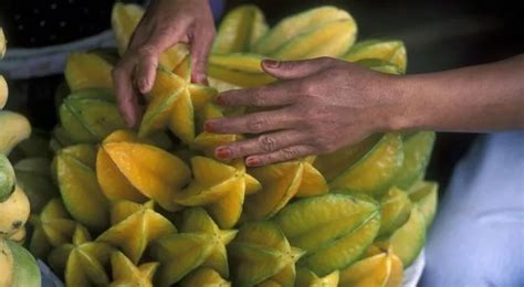 7 Succulent Facts About Star Fruit The Fact Site