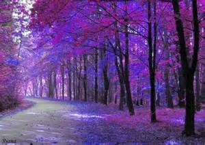 Desertbunnee On Imgfave Discovered By Michelle Purple Trees Purple