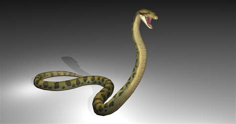 Anaconda Animated 3d Model
