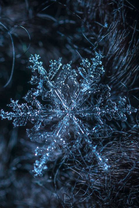 Download Wallpaper 800x1200 Snowflake Pattern Structure Ice Iphone