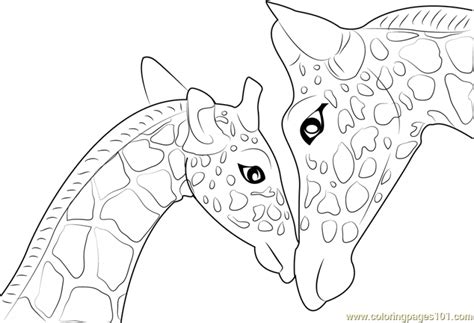 printable giraffe coloring pages everfreecoloringcom