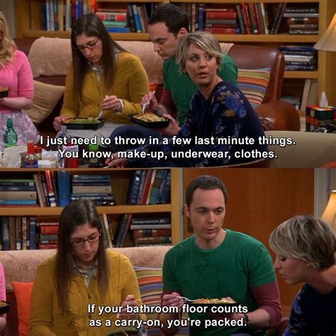 Big Bang Theory Funny Quotes Shortquotes Cc