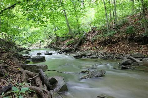 Difference Between A Creek A River And A Stream