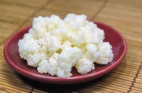 Perek revives the traditional cuisine from pontos. Kefir | Ktima Perek - restaurant, traditional products ...