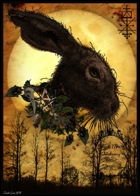 BROWN WILLIAM (Witch Familiar) | Witches familiar, Season of the witch, Witchcraft