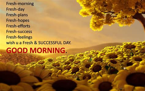 Wish You A Fresh And Successful Day Good Morning Pictures Photos And