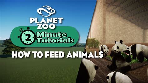 How to feed animals | 2 minute tutorials | Planet Zoo - YouTube