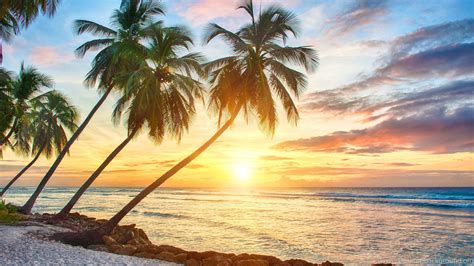 Tropical Wallpapers Sunset Tropical Island Background 3840x2160