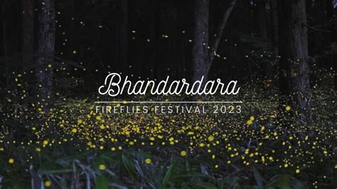The Ultimate Guide To Bhandardara Fireflies Festival 2023
