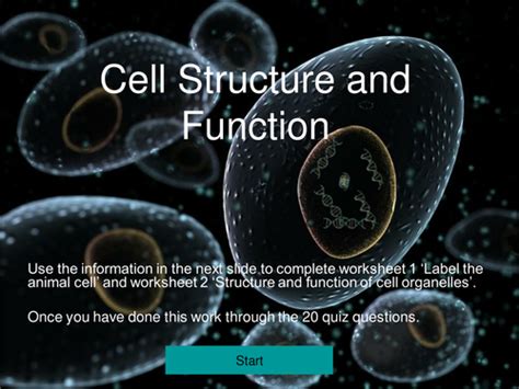 We did not find results for: AS Level Biology Animal Cell Structure and Function Quiz ...