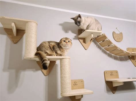 cat wall climbing systems 10 cat wall furniture brands to know whiskers magoo