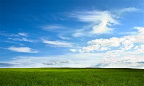 Green Field And Blue Sky Stock Image Image Of Blue Nature 6458025