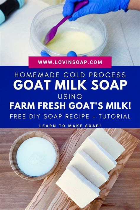 How To Make Goats Milk Soap Using Farm Fresh Goat S Milk Goat Milk Soap Recipe Soap Recipes