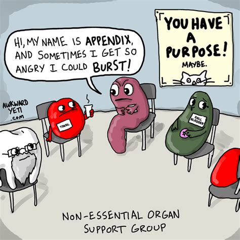Non Essential Organ Support Group Humour Wtf Humor Nerd Nurse Humour