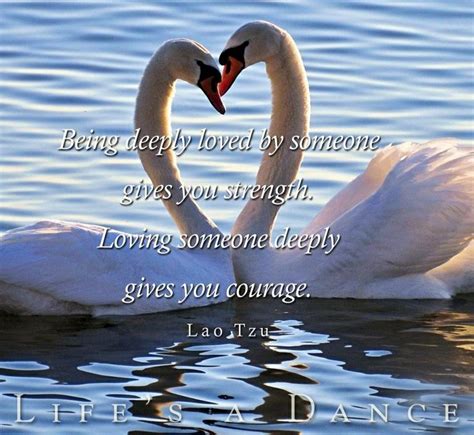 Swan Quotes Quotesgram
