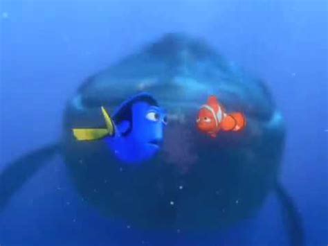 Found in every ocean and many nearshore areas associated. Finding Nemo 'Dory Speaking Whale' - YouTube