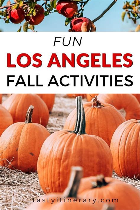 Looking For Fall Inspiration In Los Angeles Autumn In Los Angeles Isn T The Same As It Is In
