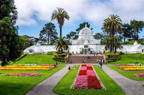 Unexpected Golden Gate Park Activities To Fill Out Your Bucket List